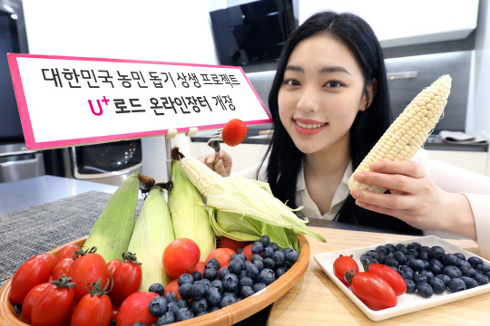 LG유플러스가 오는 29일부터 내달 16일까지 코로나19 장기화로 어려움을 겪는 전통시장 소비를 활성화하기 위해 'U+로드 온라인장터'를 운영한다. LG유플러스 제공